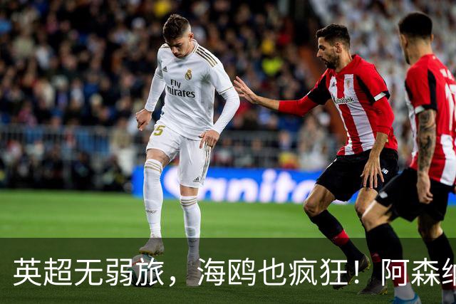 英超无弱旅，海鸥也疯狂！阿森纳3球惨败，拉亚成了远射背景板